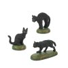 Department 56 A Clowder Of Black Cats Village Halloween Accessories