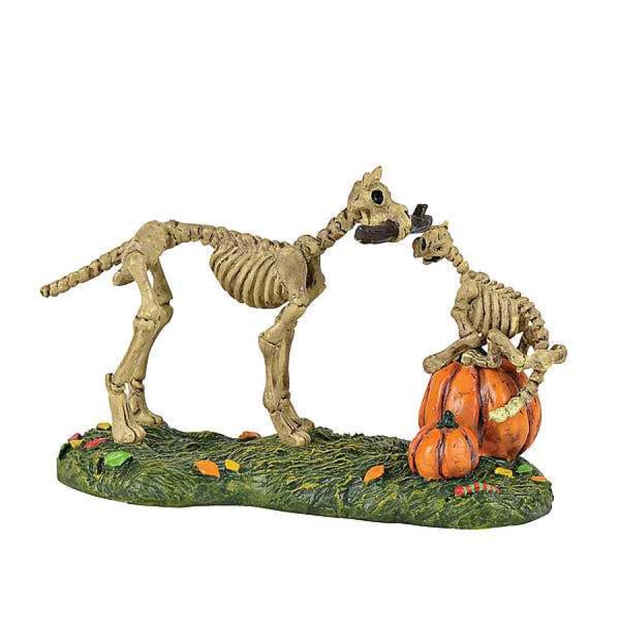 Department 56 Haunted Pets At Play Village Halloween Accessories